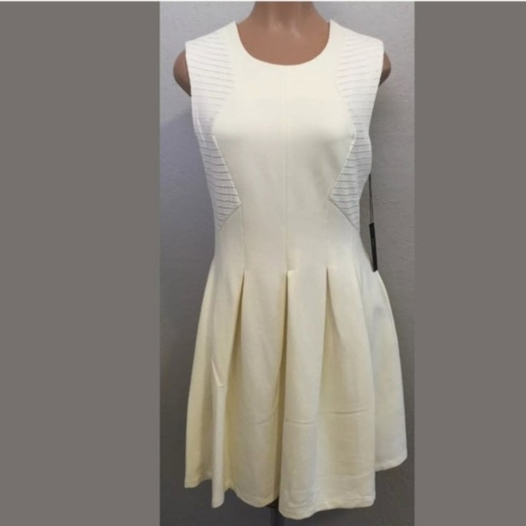 BCBGMaxAzria Dresses & Skirts - BCBGMaxAzria Off White A-Line Sheath Mini Dress